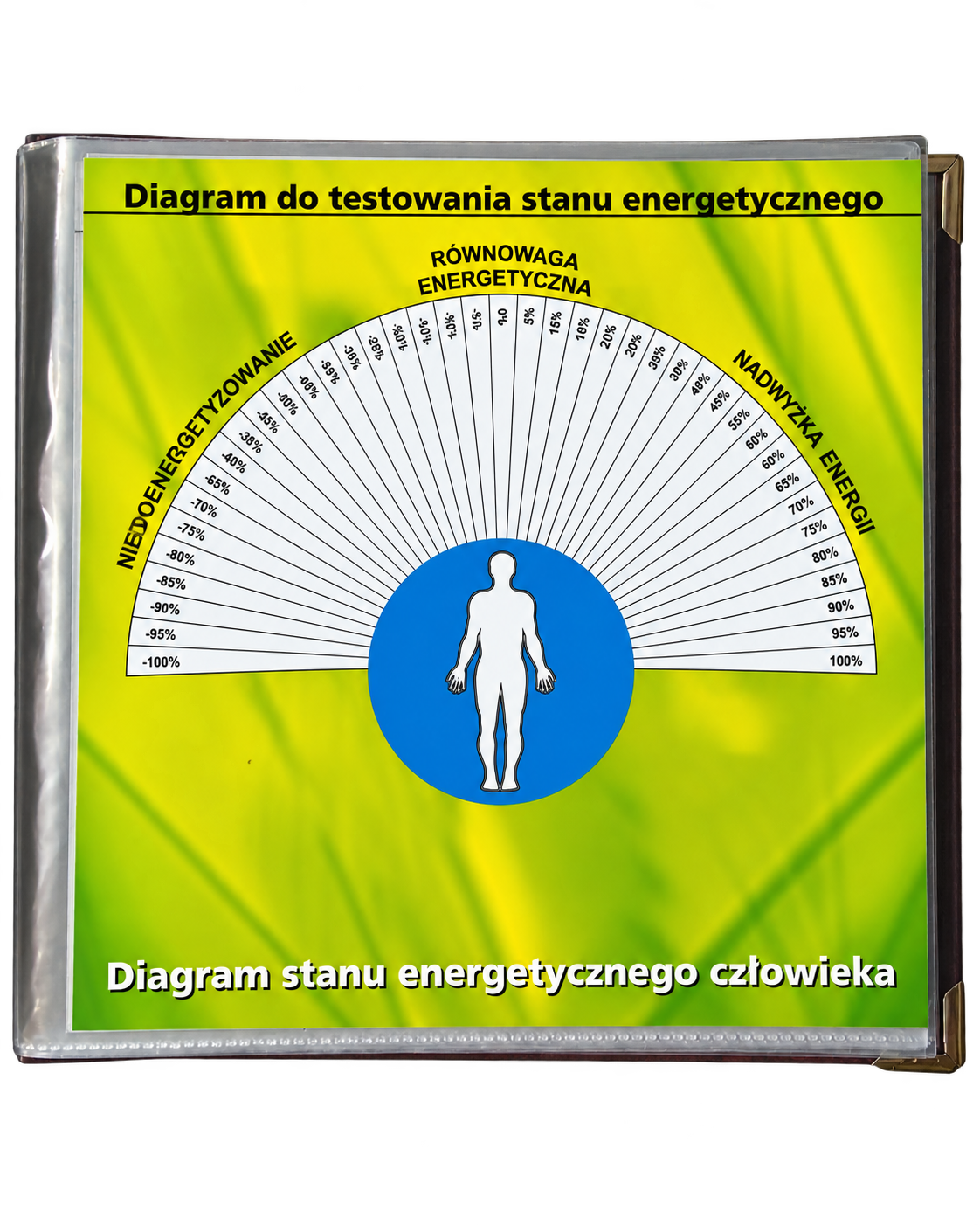 Diagram stanu energetycznego człowieka